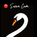 Swan Cam相机官方手机版下载 v1.0.3