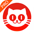 猫眼专业版app下载安装官方版 v7.2.1