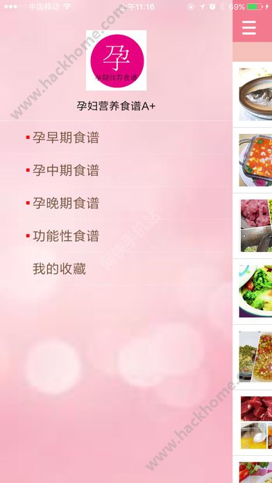 孕妇食谱大全下载手机版app v6.6.15