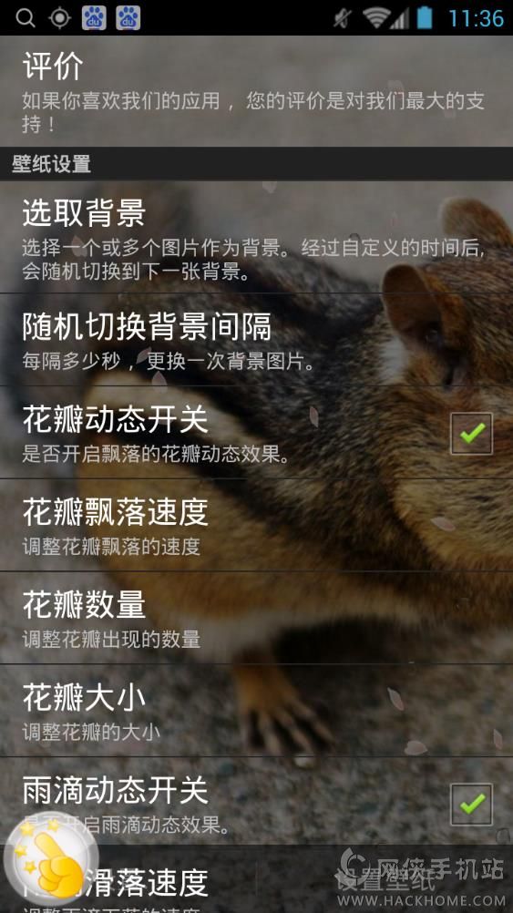 可爱松鼠动态壁纸手机版app下载 v1.8.0