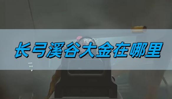 三角洲行动长弓溪谷大金在哪里-长弓溪谷大金位置详情​