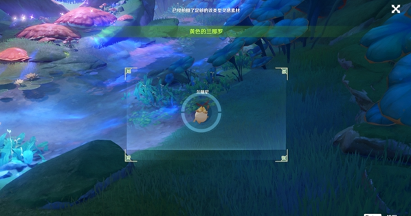 原神兰那罗三种颜色去哪拍