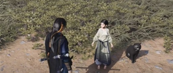 燕云十六声慈心山院喵老大难当任务怎么做