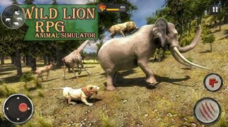 野生狮子RPG游戏安卓版（Wild Lion RPG Animal Simulator）图片1