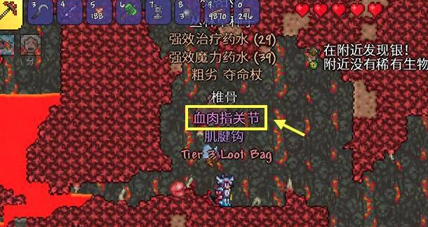 泰拉瑞亚血肉指关节怎么获得