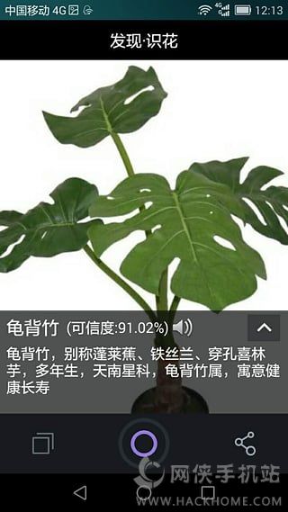 发现识花app下载安卓版 v1.3