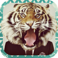 Animal Face兽面人官方苹果版app v1.8