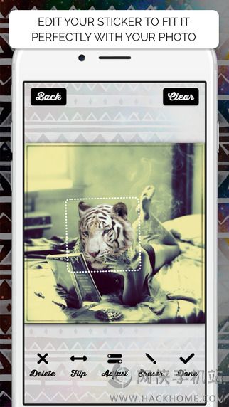 Animal Face下载安卓版app v1.3.1