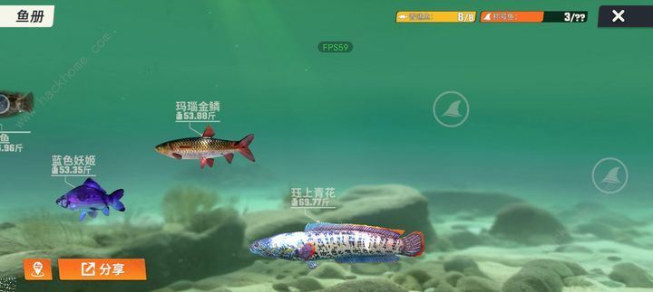 欢乐钓鱼大师新手教学攻略 金色箱子前期要开吗图片2