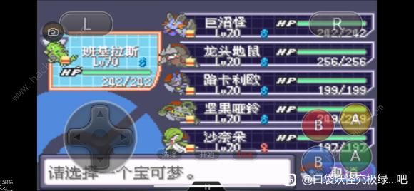 口袋妖怪究极绿宝石5.3攻略大全 究极绿宝石5.3全周目通关/金手指/作弊码总汇图片3