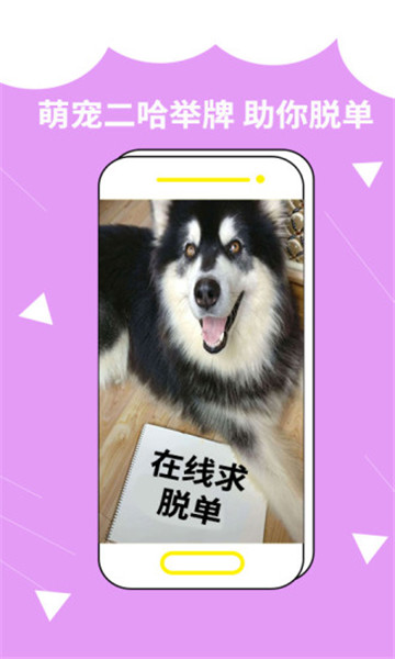 装啥app最新版手机下载 v1.0.0