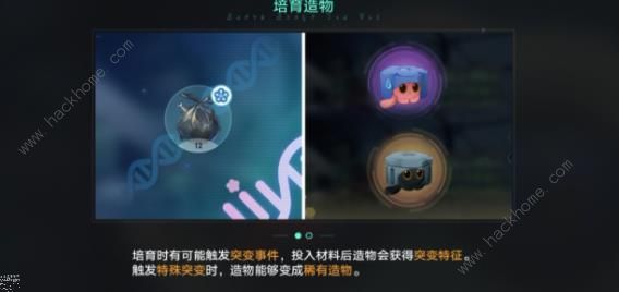 崩坏星穹铁道异宠拾遗攻略 异宠拾遗通关打法解谜教程图片3