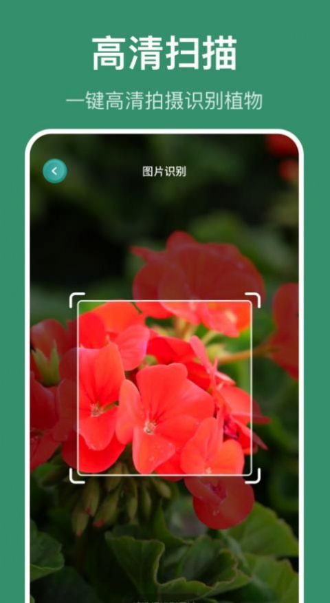 花仙识花草软件app手机版下载 v1.1