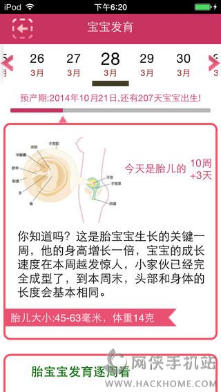 孕育宝官方app下载 v1.51