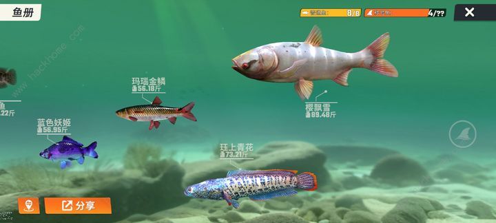 欢乐钓鱼大师藏宝图有什么用 新手必备八大技巧详解图片5