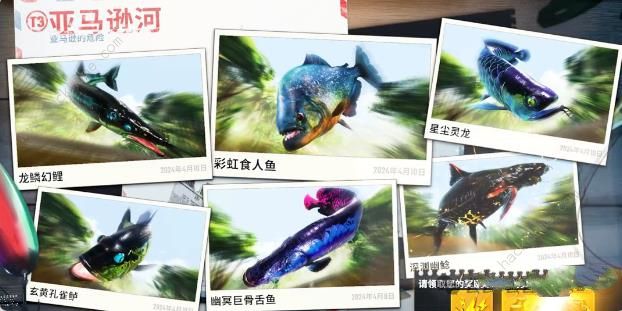 欢乐钓鱼大师四大误区 钻石体力怎么用最好图片2