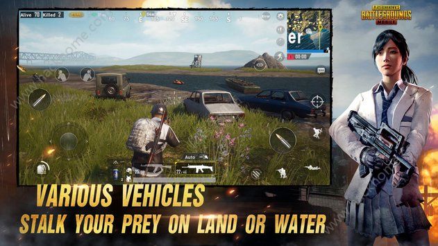 pubgmoblle亚服版下载安卓中文版 v3.3.0