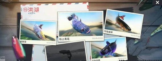 欢乐钓鱼大师稀有鱼怎么钓 奇珍鱼/典藏鱼钓取技巧
