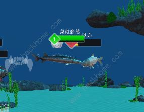 狂野钓鱼2钓王荣耀怎么获取传奇鱼饵 海底猎杀通关玩法攻略图片9