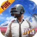 pubgmoblle国际版V0.14.0微信中文官方下载 v3.3.0