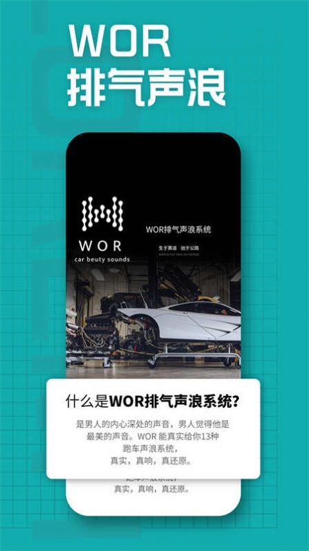 WOR排气声浪系统激活版下载图片2