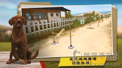 我的寄宿狗屋中文安卓版（含数据包） v1.9.3