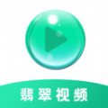 翡翠视频投屏软件免费版下载 v1.1