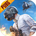 Pubgmobile国际服惊叫前夜模式游戏下载 v3.3.0