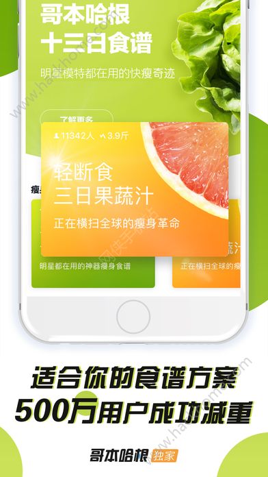 哥本哈根减肥法食谱安卓版app下载 v6.7.7