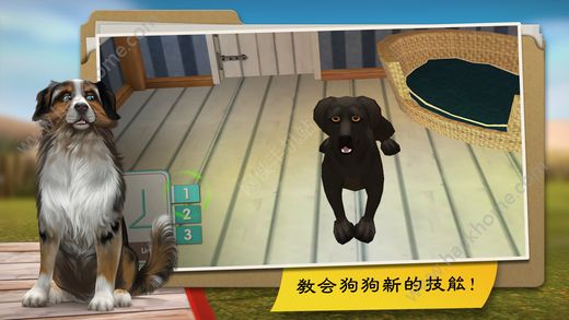 狗狗度假酒店DogHotel游戏官方中文安卓版 v1.9.3