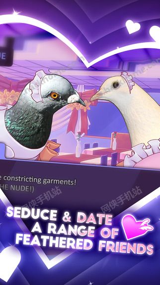 鸽子男友中文汉化版（Hatoful Boyfriend） v1.0