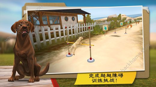 狗狗度假酒店DogHotel游戏官方中文安卓版 v1.9.3