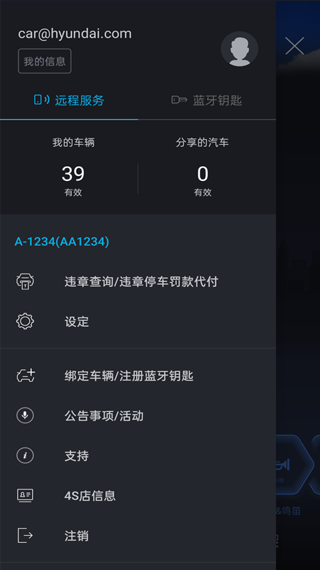 blueLink app苹果系统升级下载 v3.10