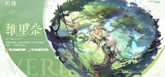 鸣潮维里奈要不要抽-维里奈抽取建议​