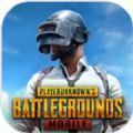 pubgmobile2.1版本新版下载手机版 v2.3.0