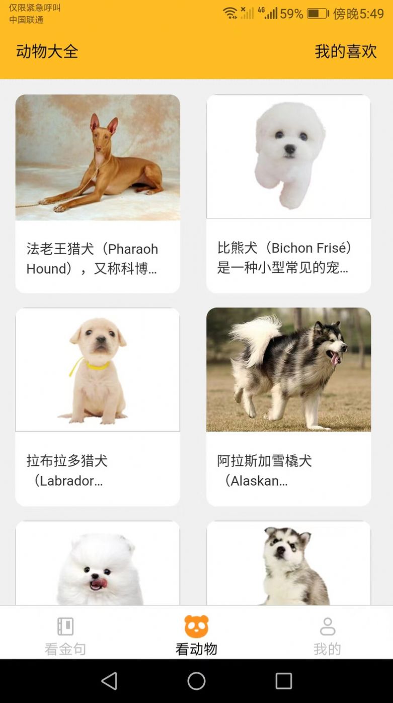 口袋乐看app手机版下载 v1.6.0