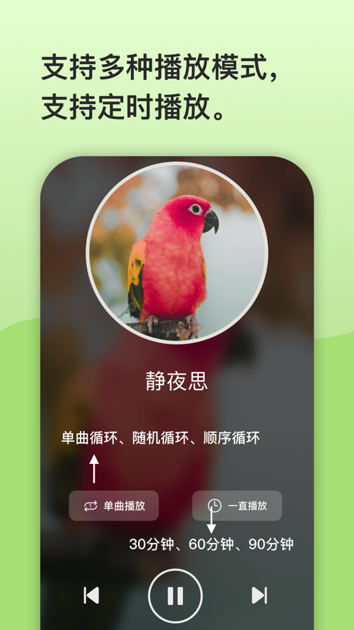 鹦鹉复读机app软件下载 v1.1