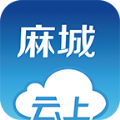 云上麻城官方app下载 v1.0.8