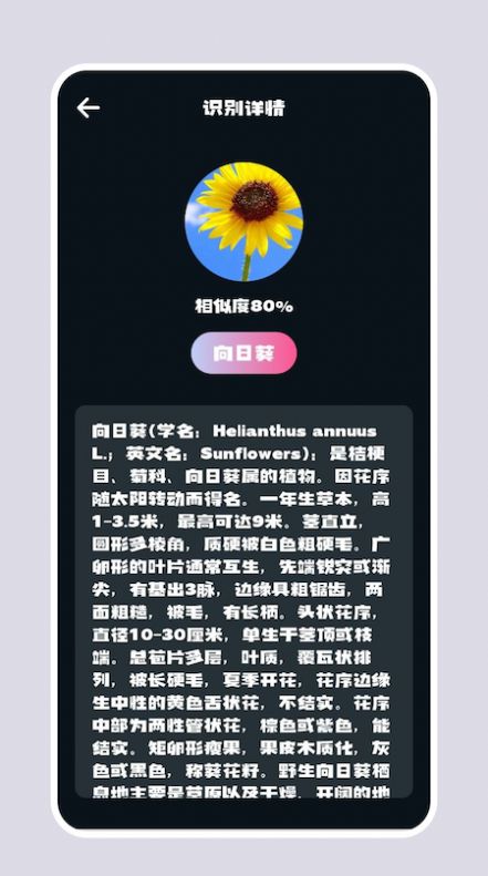 识别花扫一扫软件app下载 v1.3