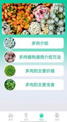 掌中百科app手机版下载 v0.1