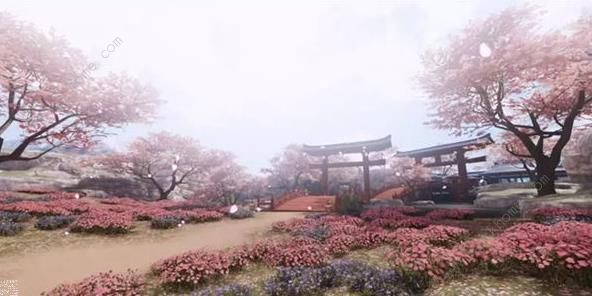 楚留香手游新地图蝙蝠岛曝光 副本新挑战来袭​