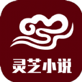 灵芝小说手机版app v2.3.0.6