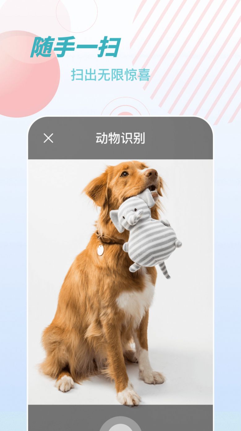 物品识别师软件app下载 v1.0.0