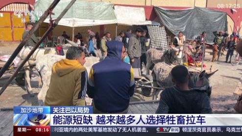 巴豆侠TV电视版免费版下载图片1