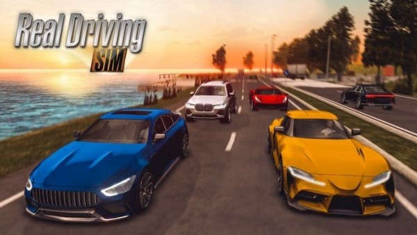 RealDrivingSim最新安卓版 v1.0