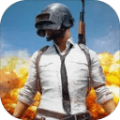 PUBG M国际服地铁逃生官方版下载安装 v3.3.0