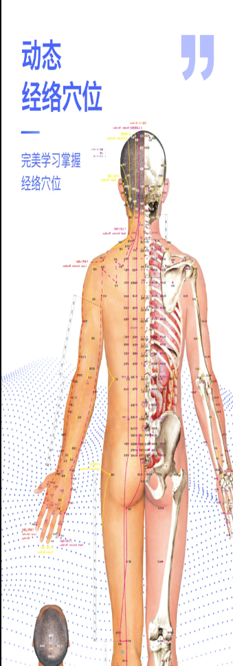 3Dbody解刨学app软件官方版 v2.1.0