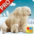 动物学习卡pro app最新版 v1.5.4