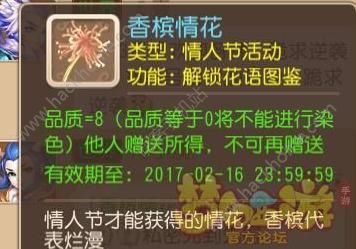 梦幻西游手游花语奇缘攻略大全 花语奇缘攻略汇总图片2