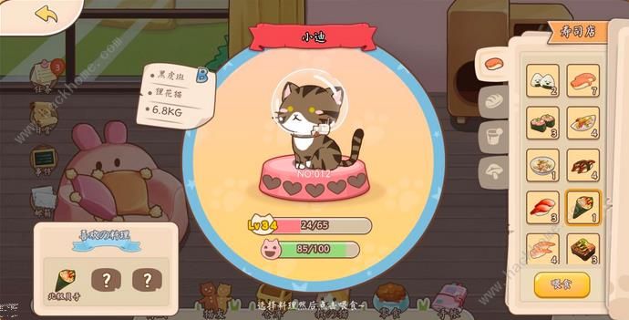 猫猫狗狗一起玩猫咪食物大全 猫猫喜欢食物总汇图片5